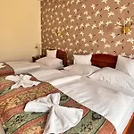 Hotel Erzsébet 3*