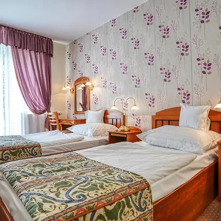 Erzsebet Hotel 3*