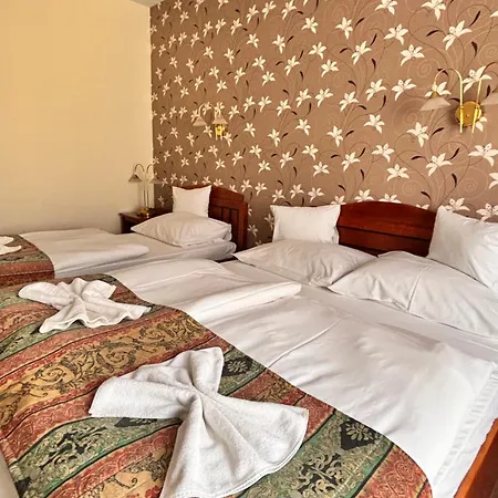 Hotell Erzsebet 3*