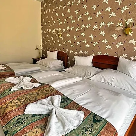 Erzsebet 3* Хевиз