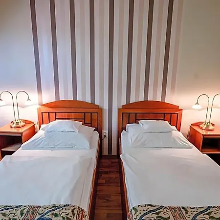 Отель Erzsebet 3*