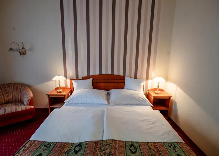 Hotel Erzsebet Heviz